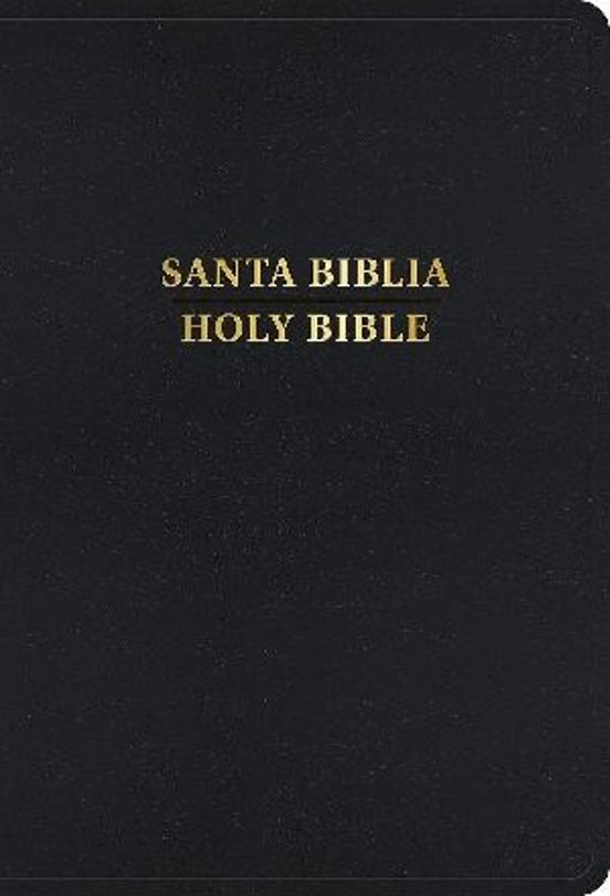Biblia Bilingüe Letra Grande Negro Imitación Piel Rvr 1