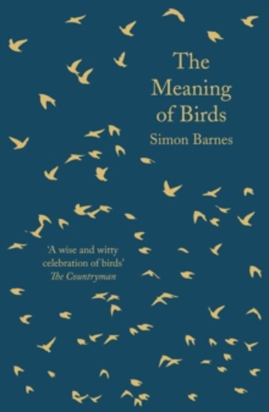 The Meaning Of Birds