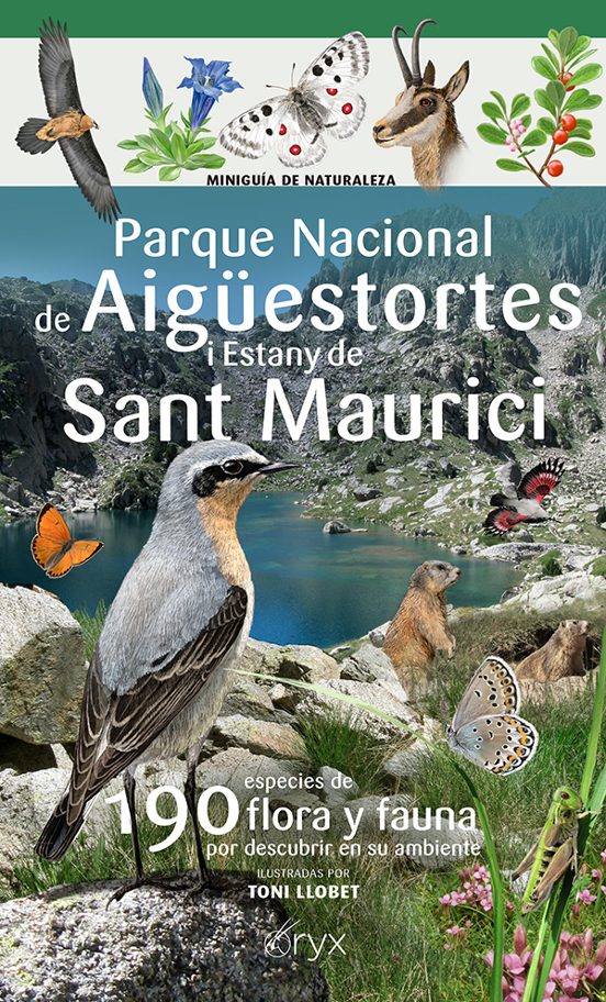 Parque Nacional De Aiguestortes I Estany De Sant Maurici