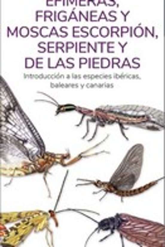 Efimeras Friganeas Y Moscas Escorpion Serpientes Y De Las Piedras - Gu