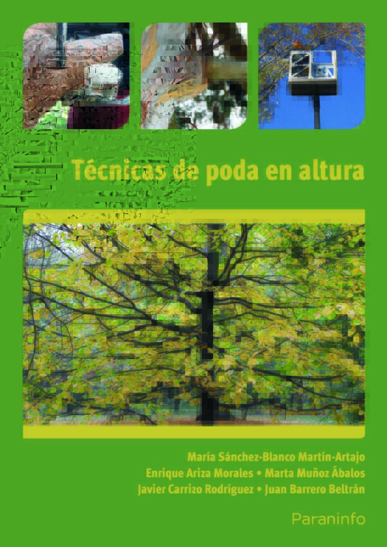 Técnicas De Poda En Altura