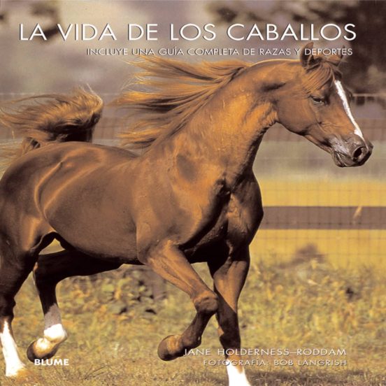 La Vida De Los Caballos