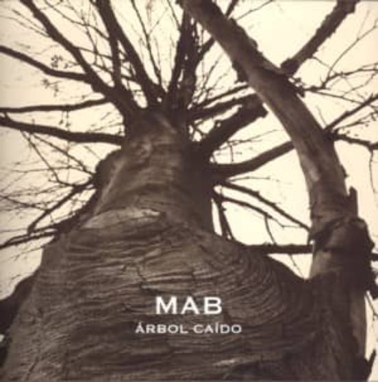 Mab - Arbol Caido