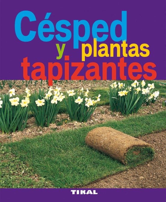 Césped Y Plantas Tapizantes