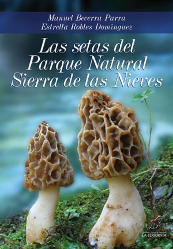 Las Setas Del Parque Natural Sierra De Las Nieves