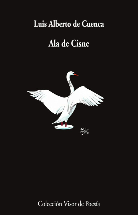 Ala De Cisne