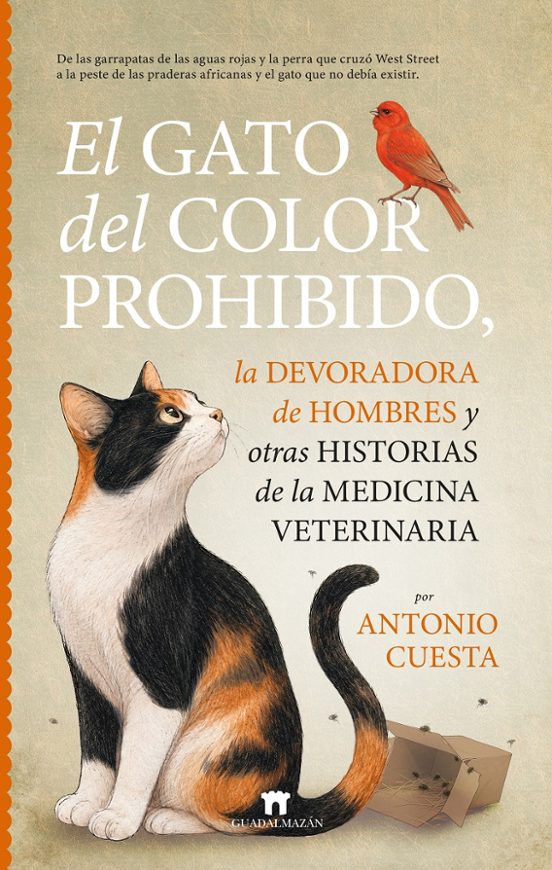 El Gato del Color Prohibido