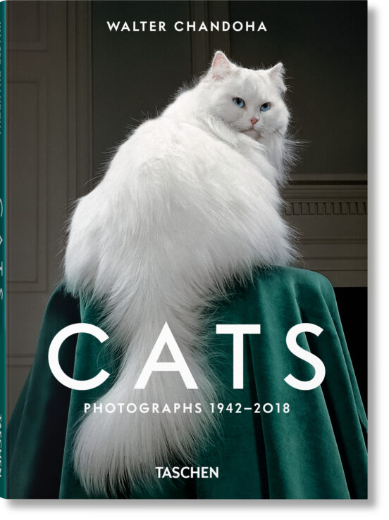 Walter Chandoha. Cats. Photographs