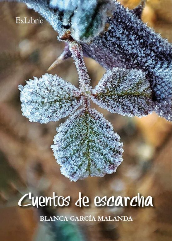 Cuentos De Escarcha