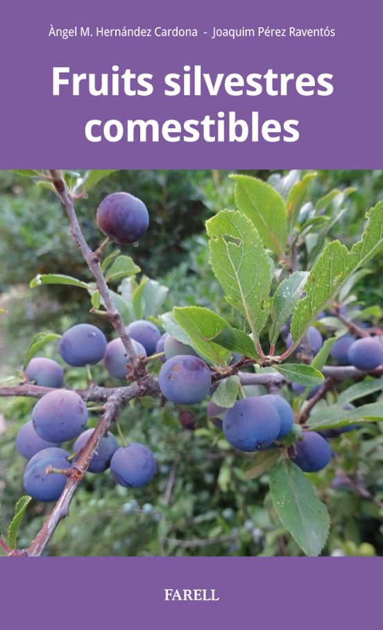 Fruits Silvestres Comestibles