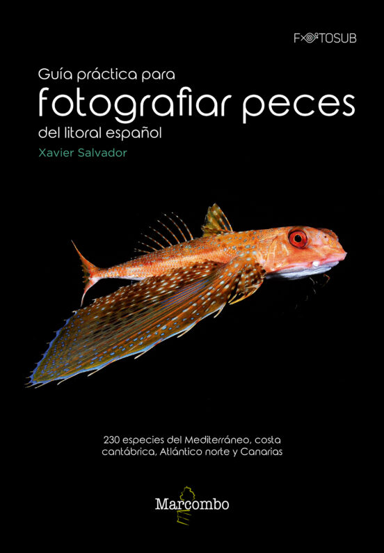 Guia Practica Para Fotografiar Peces Del Litoral Español: 230 Especies