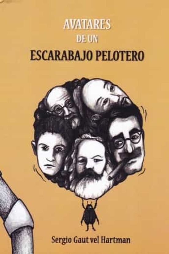 Avatares De Un Escarabajo Pelotero