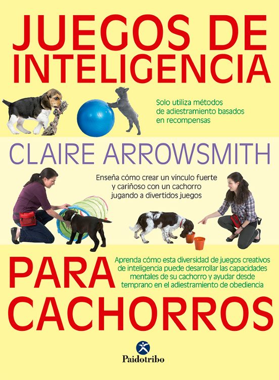 Juegos De Inteligencia Para Cachorros