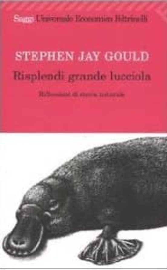 Risplendi Grande Lucciola