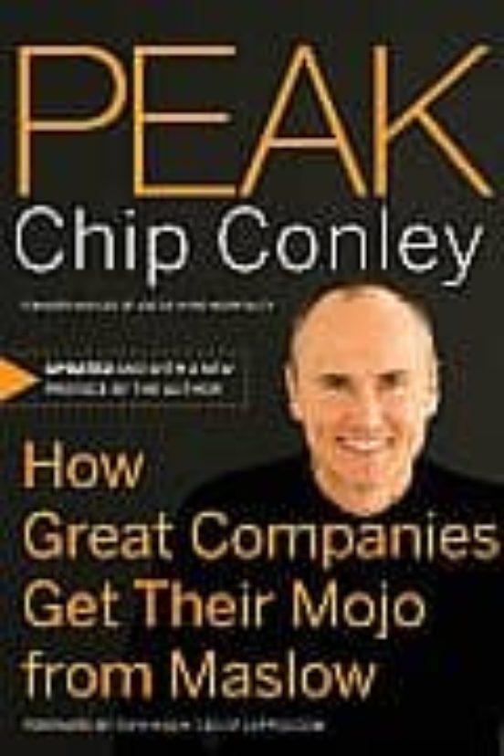 Peak: How Great Companies Get Their Mojo From Maslow
