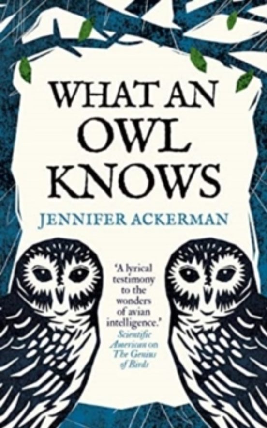 What An Owl Knows