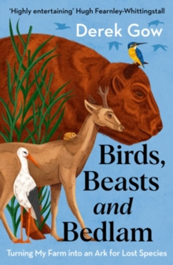 Birds Beasts And Bedlam