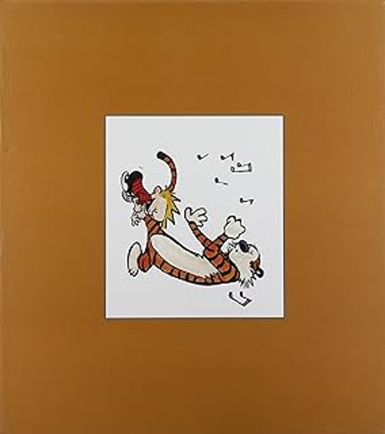 L Intégrale Calvin Et Hobbes