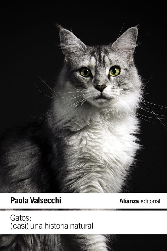 Gatos: Una Historia Natural