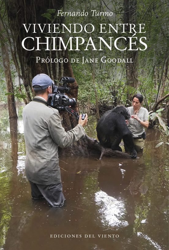 Viviendo Entre Chimpancés