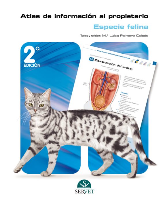 Atlas De Información Al Propietario: Especie Felina