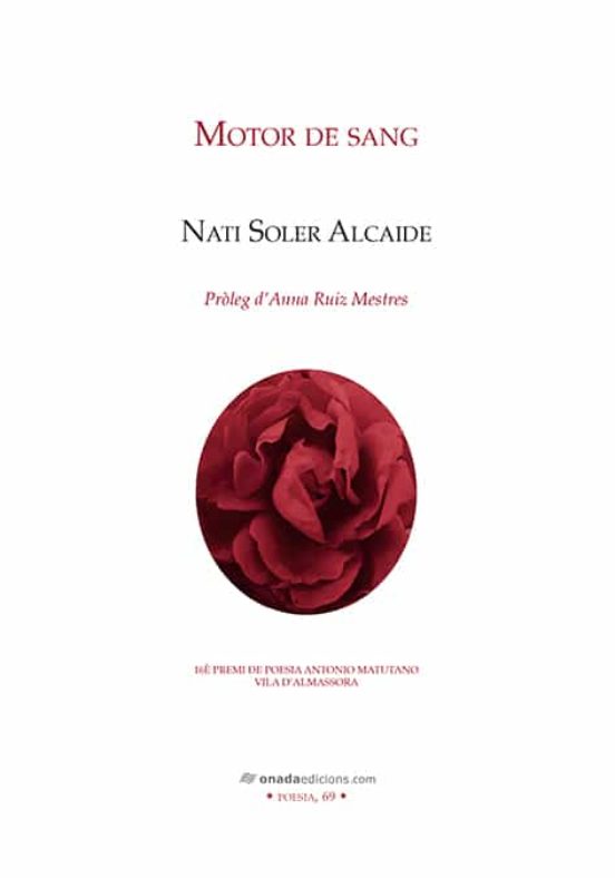Motor De Sang