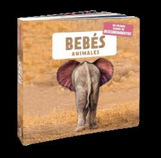 Bebes Animales
