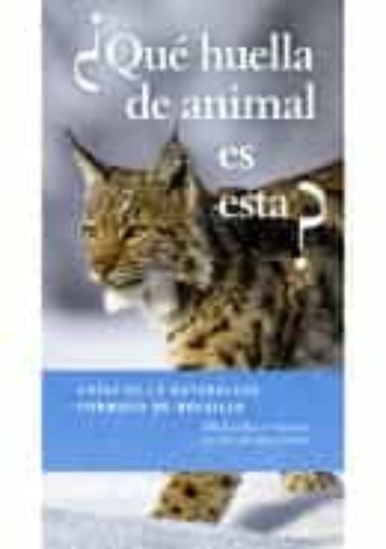 ¿Qué Huella De Animal Es Esta?