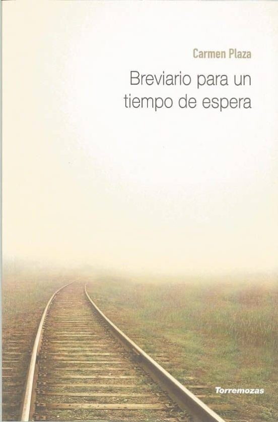 Breviario Para Un Tiempo De Espera