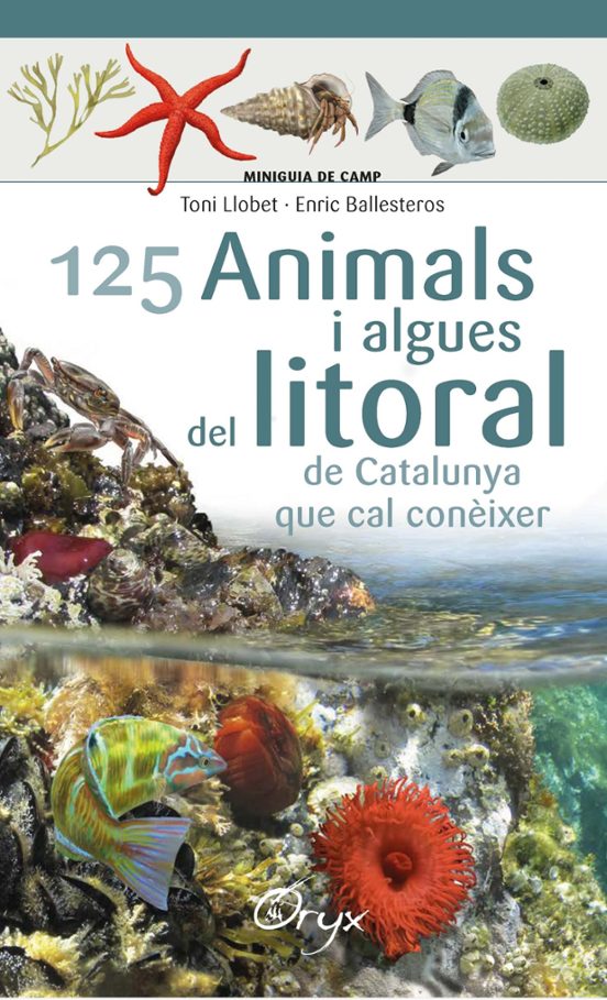 125 Animals I Algues Del Litoral De Catalunya