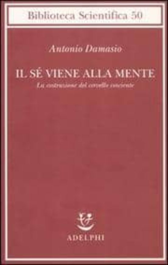 Mi Vengo in Mente la Costruzione del Cervello Cosciente