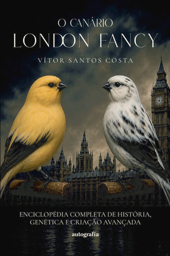 O canário London Fancy