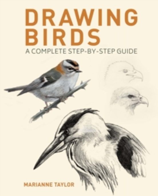 Drawing Birds