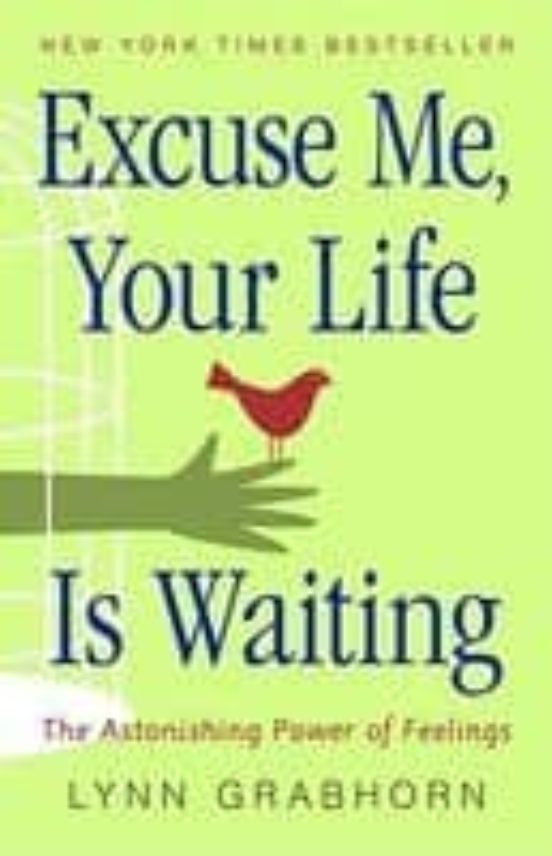 Escuse Me Your Life Is Waiting: The Astonishing Power Of Feeling S