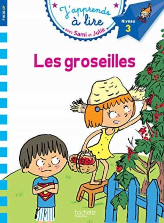 Sami Et Julie Cp Niveau 3 Les Groseilles