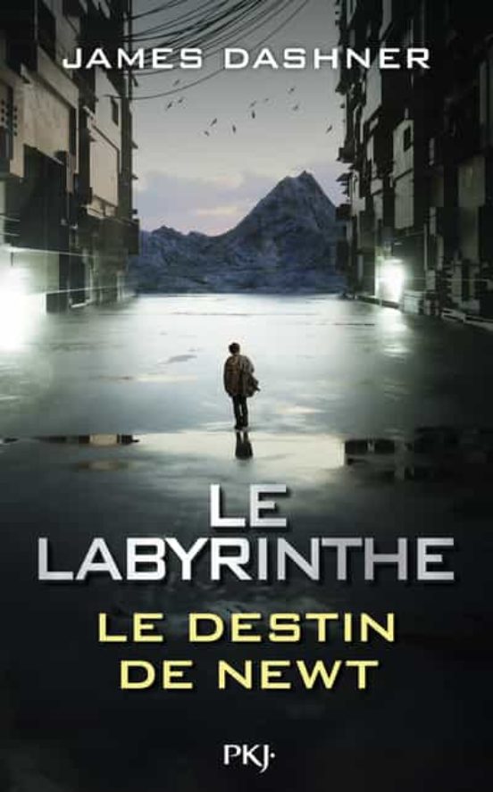 Le Labyrinthe - Le Destin De Newt