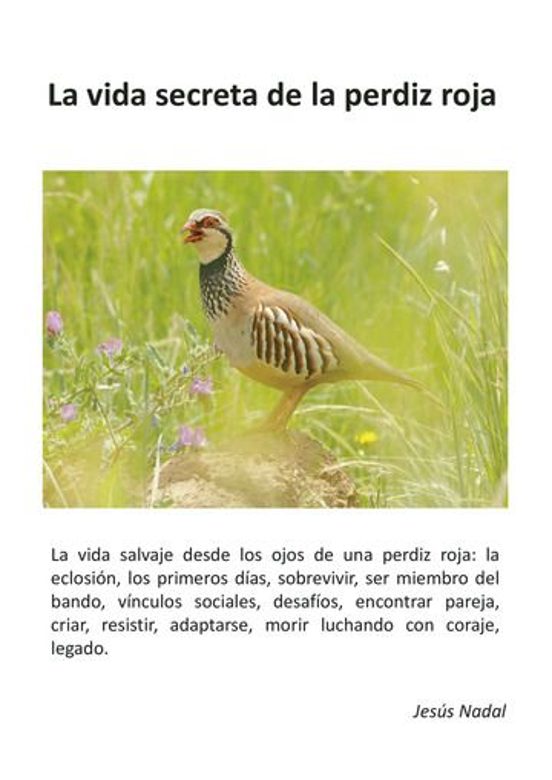 La vida secreta de la perdiz roja