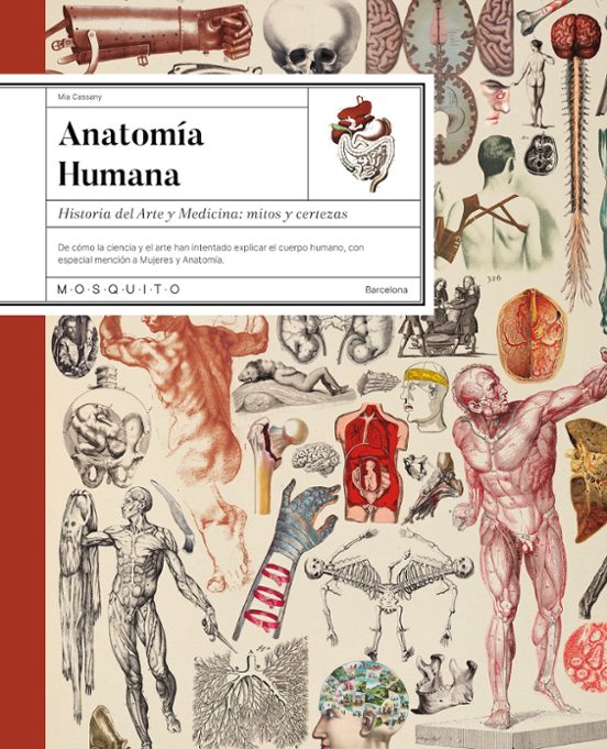 Anatomía