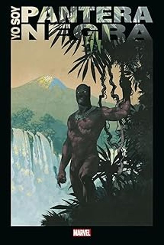 Yo Soy Pantera Negra
