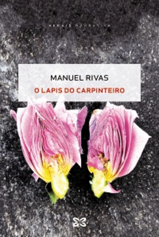 O Lapis Do Carpinteiro