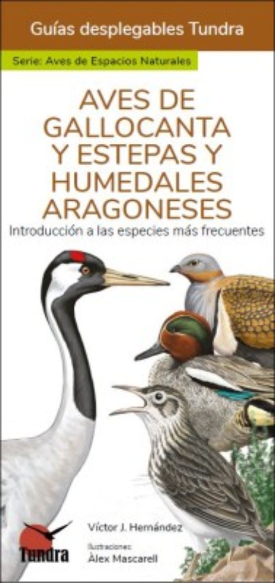 Aves De Gallocanta Y Estepas Y Humedales Aragoneses - Guias Desplegabl