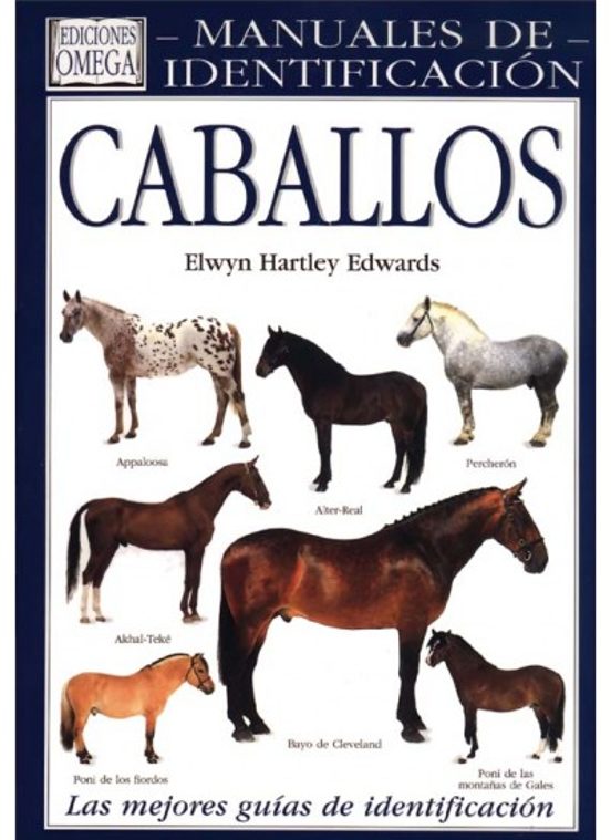 Caballos