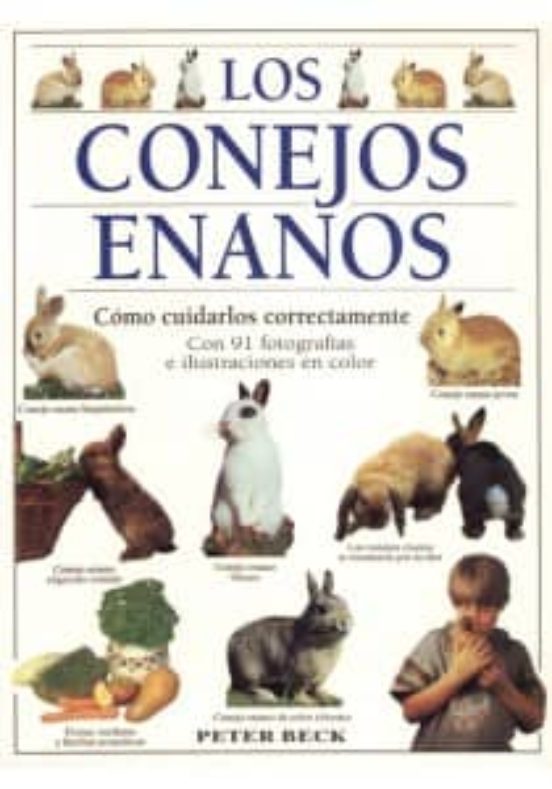 Los Conejos Enanos: Como Cuidarlos Correctamente