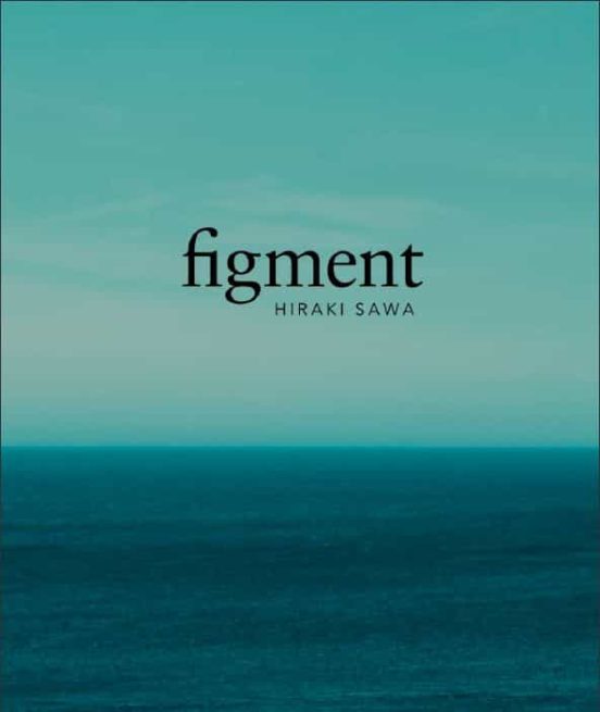 Figment