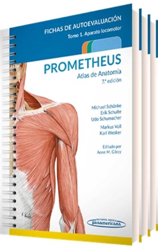 Prometheus. Atlas De Anatomía. Fichas De Autoevaluación 7º Ed Colecció