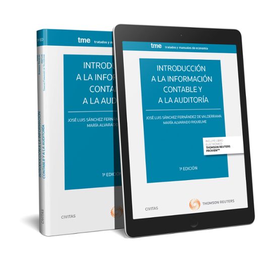 Introduccion A La Informacion Contable Y A La Auditoria