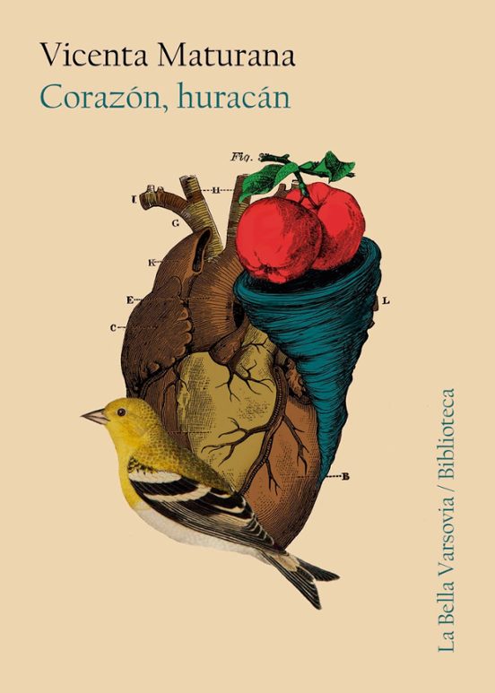 Corazon Huracan
