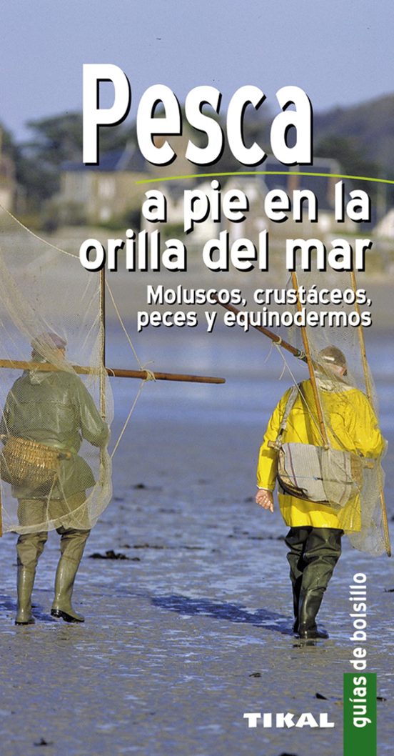 Pesca A Pie En La Orilla Mar