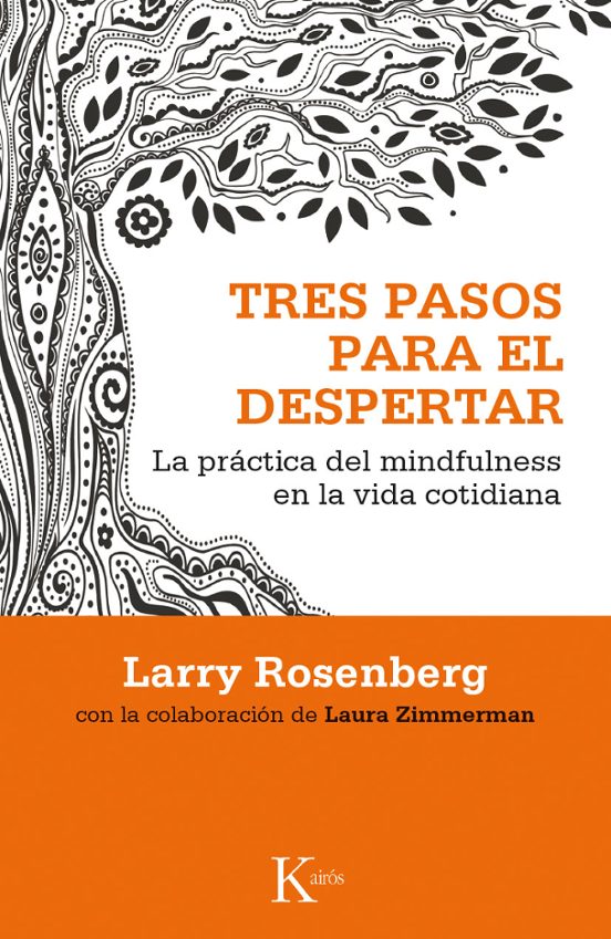 Tres Pasos Para El Despertar: La Practica Del Mindfulness En La Vida C