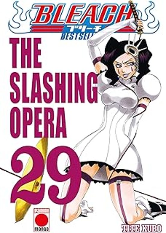 Bleach Bestseller 29